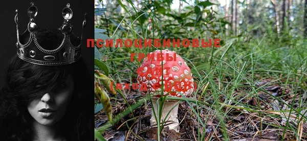 мяу мяу кристалл Богданович