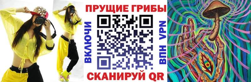 Псилоцибиновые грибы мицелий  Мезень 